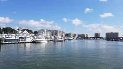 So the dolphin watching wasn't on our agenda....but the Virginia Aquarium & Marine Science Center had it....so we did it