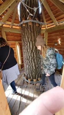 The last half of Saturday's Nebraska City adventure was the Arbor Day Farm Treetop Adventure. Yes, my daughter wigs out