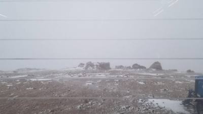 We took a train up to the summit of Pike's Peak in Colorado.  At the base...sunny and relatively warm.  At the  summit? 