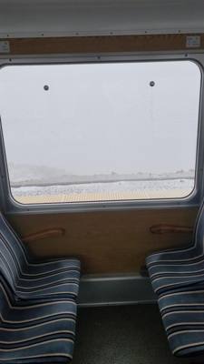 We took a train up to the summit of Pike's Peak in Colorado.  At the base...sunny and relatively warm.  At the  summit? 