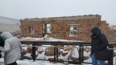 We took a train up to the summit of Pike's Peak in Colorado.  At the base...sunny and relatively warm.  At the  summit? 