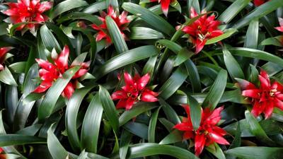One of the must-see attractions in the area we visited was Longwood Gardens located in Kennett Square, Pennsylvania. The