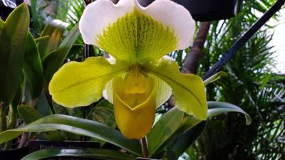 One of the must-see attractions in the area we visited was Longwood Gardens located in Kennett Square, Pennsylvania. The