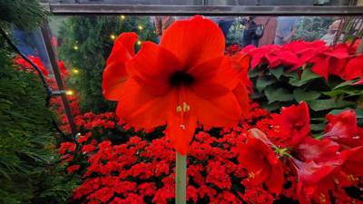 Travel photo