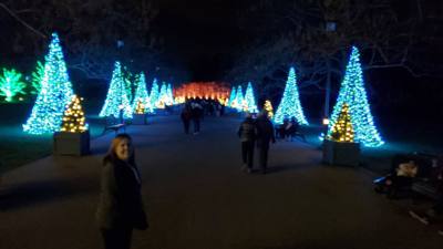 Travel photo