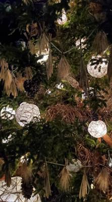 This is Part 2 of our Longwood Gardens post.