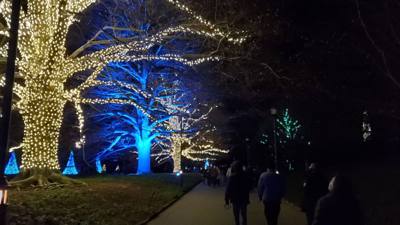 Travel photo