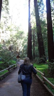 Travel photo